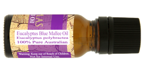 Eucalyptus Blue Mallee Essential Oil - Eucalyptus polybractea - 100% Pure Australian …