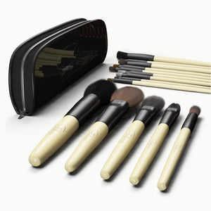 Professional Cosmetic Makeup Brush Set with Case: 15 Brushes