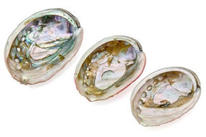 3 Pieces Red Abalone Shell Set - 1.75", 2", 2.5"L