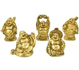 5 Pieces Assorted Brass Laughing Buddha - 2"H