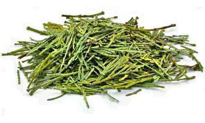 Cedar Leaves & Clusters - 1 Pound