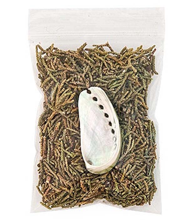 Juniper Leaves & Mini Abalone Set - 3x4 Bag