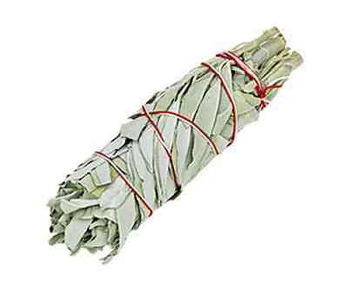 California White Sage Smudge Stick - 6"L