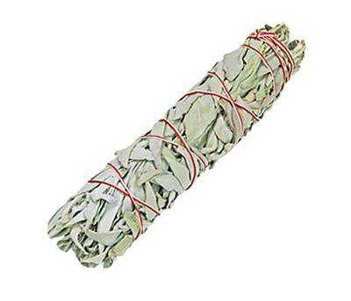 California White Sage Smudge Stick - 7"L (Medium)