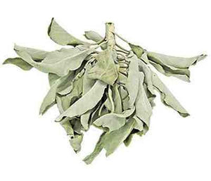 California White Sage Leaves & Clusters - 1 Pound