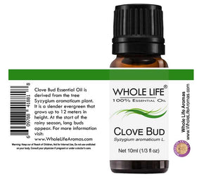 100% Pure Clove Bud Essential Oil - Syzygium aromaticum L. | 10ml