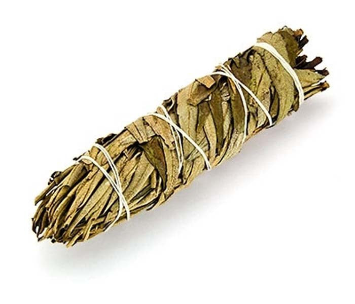 Yerba Santa Smudge Stick - 5"L (small)