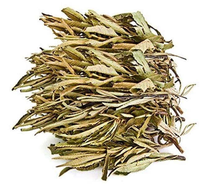 Yerba Santa Leaves & Clusters - 1 Pound